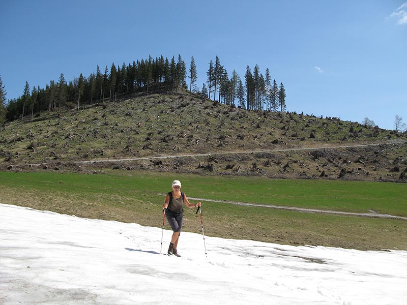 bichleralpe